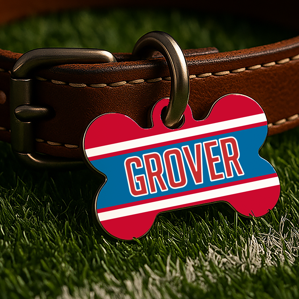 Oxford Game Day Tag - Red & Blue Campus