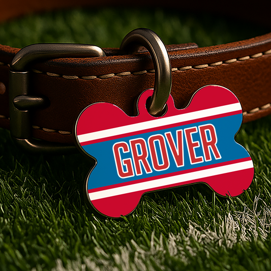 Oxford Game Day Tag - Red & Blue Campus