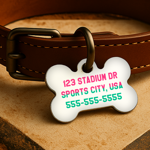San Diego Game Day Tag – City Edition