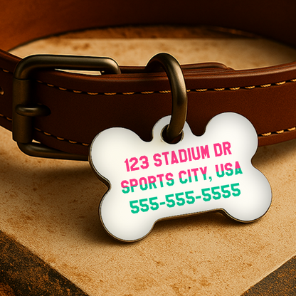 San Diego Game Day Tag – City Edition