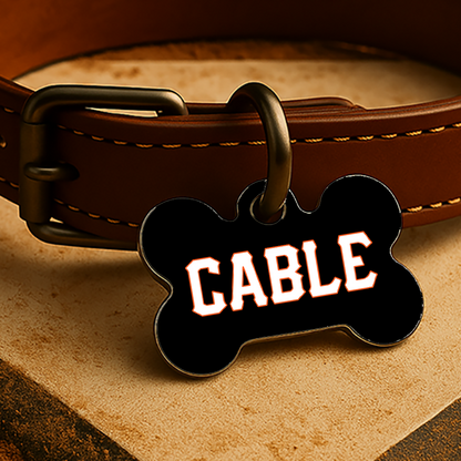 San Francisco Game Day Tag - Black Diamond