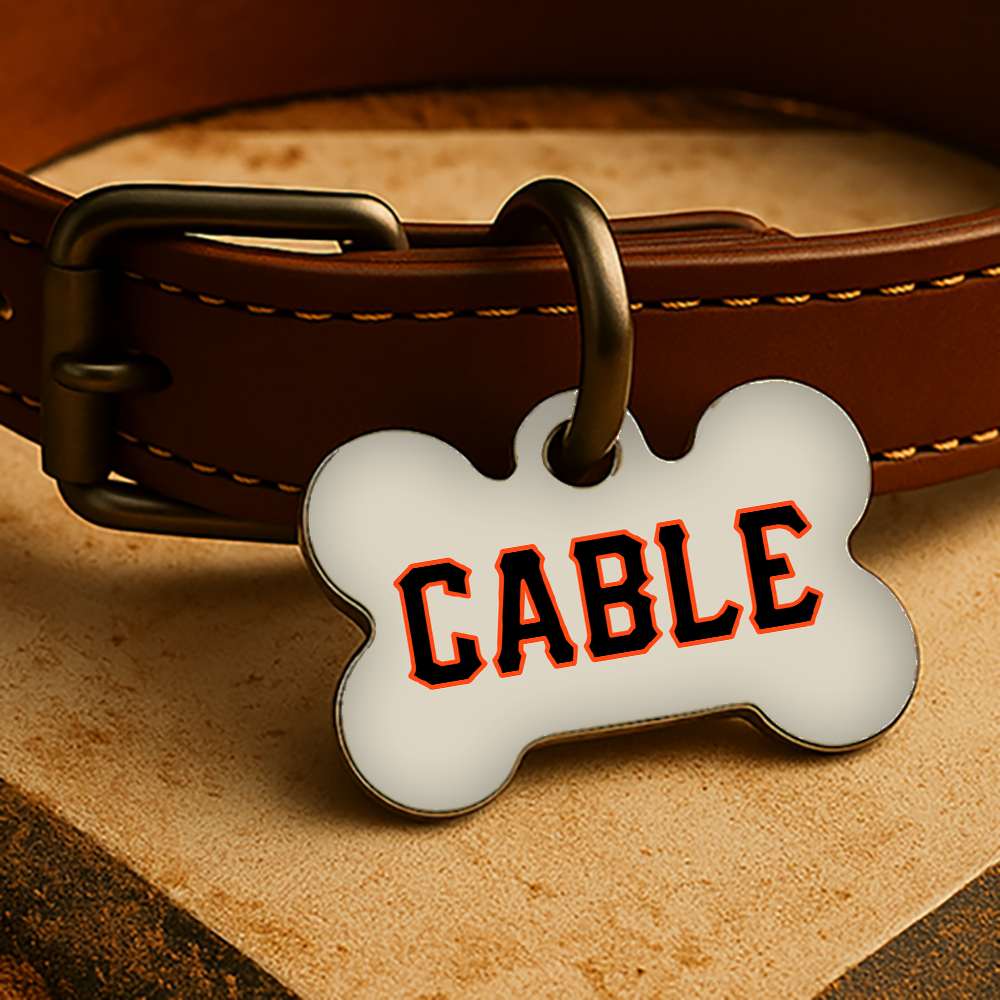 San Francisco Game Day Tag - Cream Diamond