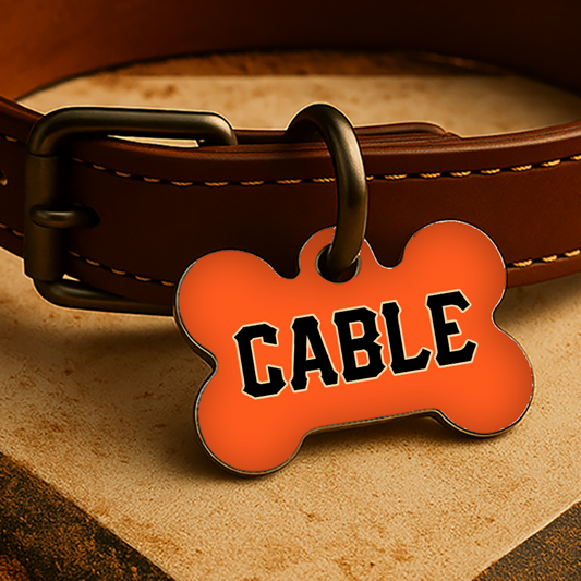 San Francisco Game Day Tag - Orange Diamond