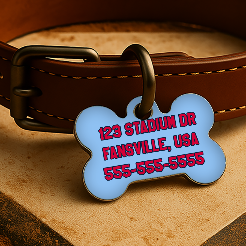 St. Louis Game Day Tag - Blue Diamond