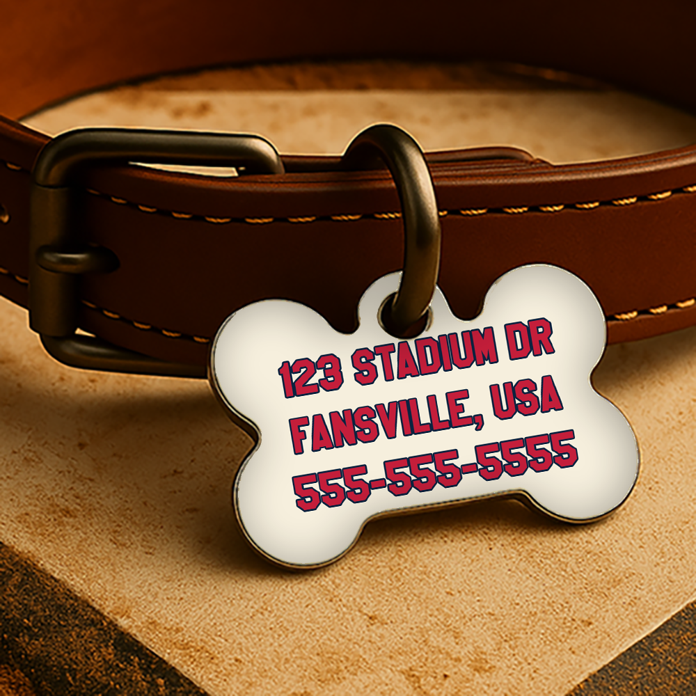 St. Louis Game Day Tag - Cream Diamond