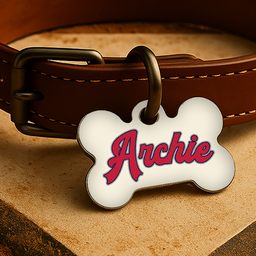 St. Louis Game Day Tag - Cream Diamond