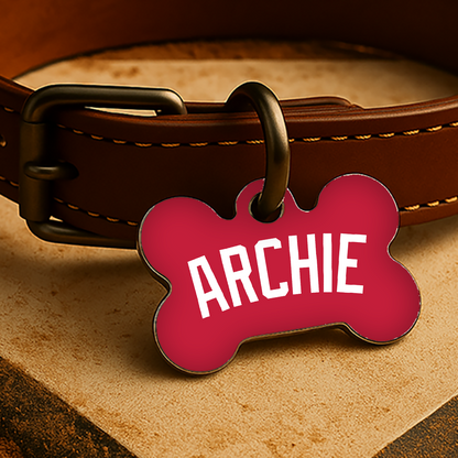 St. Louis Game Day Tag - Red Diamond