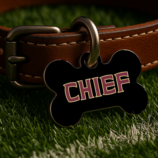 Tallahassee Game Day Tag – Black Edition