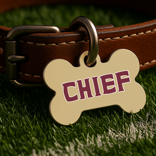 Tallahassee Game Day Tag – Gold Edition