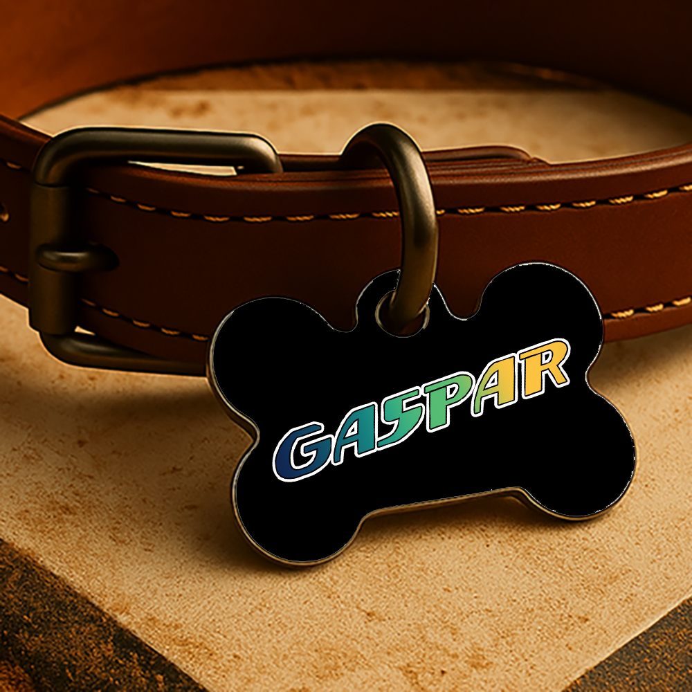 Tampa Bay Game Day Tag - Black Diamond