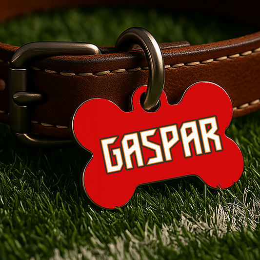 Tampa Bay Game Day Tag – Red Gridiron Edition